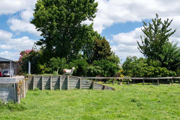 438 Twyford Road Twyford_34