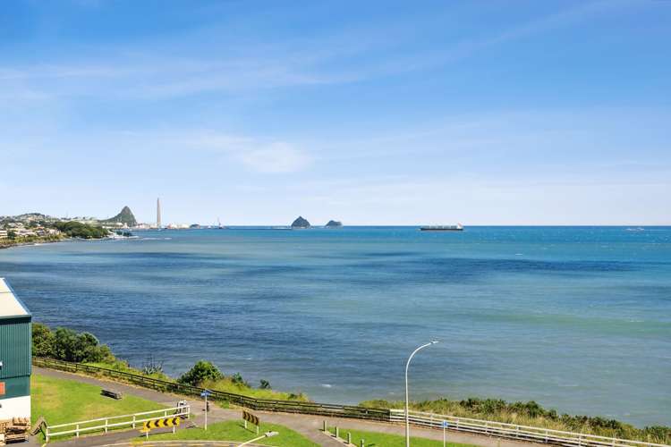 20/4 Buller Street New Plymouth Central_5