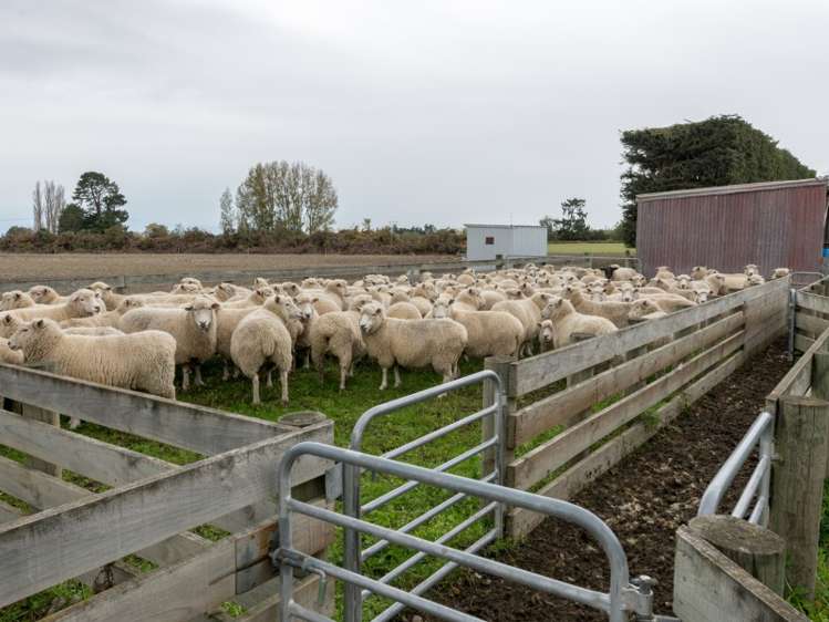 198 Mill Road Westerfield_9