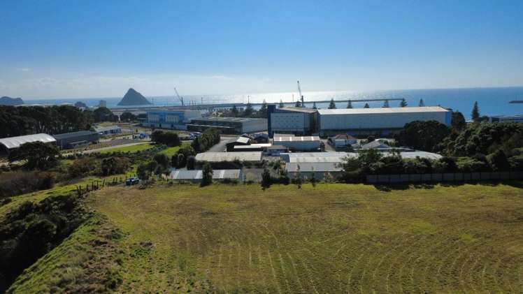 69 Breakwater Road Moturoa_0