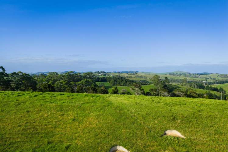 Ararua Road Matakohe_5