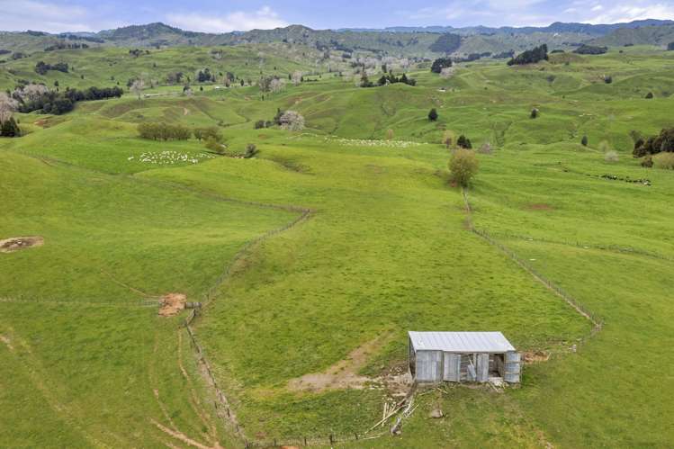 80 Parakoko Road Aria_19