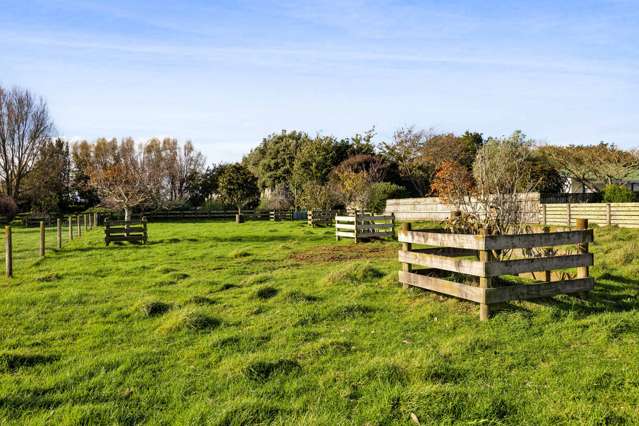 36 Fantham Street Hawera_4