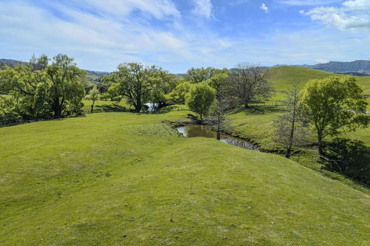 468 Waikoau Road Tutira_12