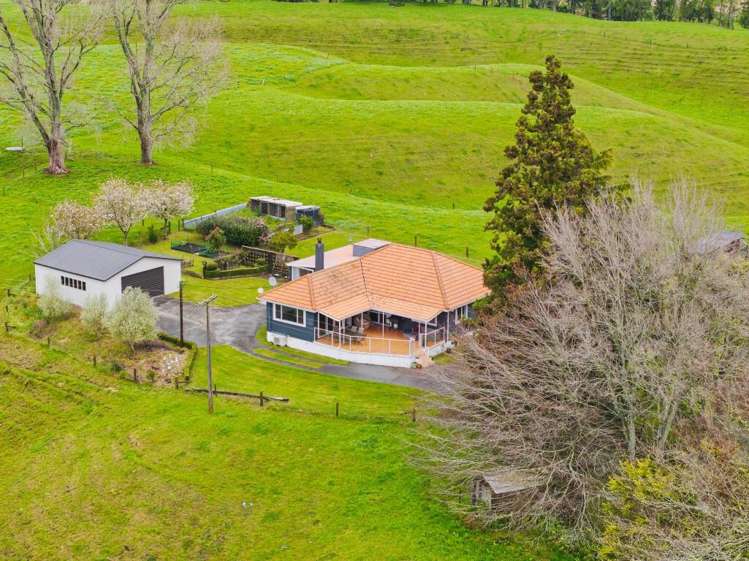 123 Hereford Park Road Pukehina_35