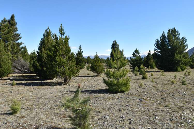 76 Flanagan Lane Twizel_7