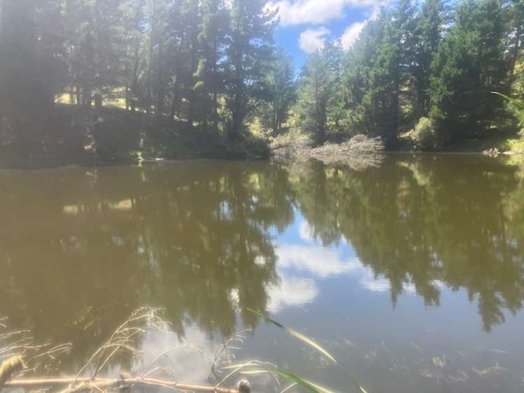 25 Mangamaire Road Dannevirke_5