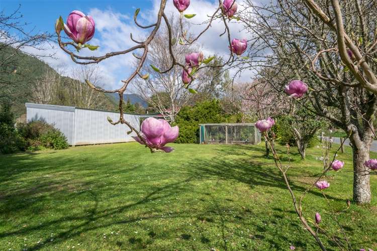 95 Wakamarina Road Havelock_13