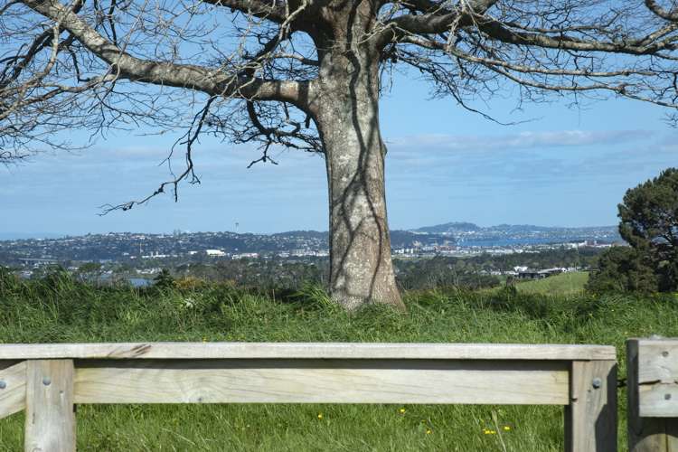 31 Diamond Lane Riverhead_10