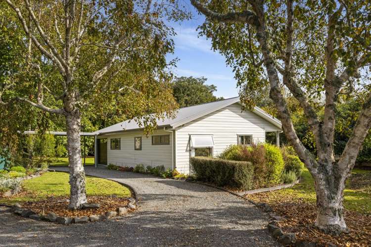 322 Snodgrass Road Te Puna_22
