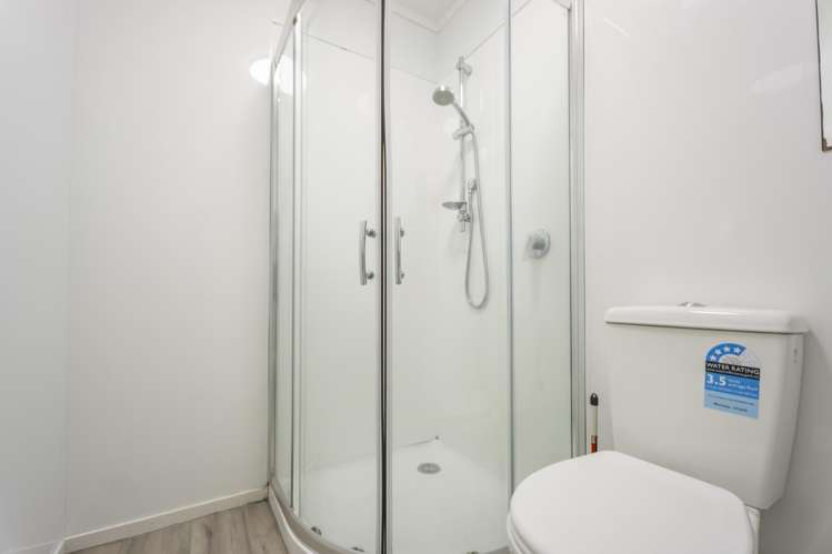 17 Myrtle Street Hamilton East_6