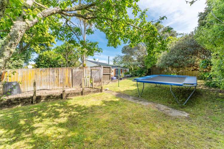 9 Agathis Avenue Mairangi Bay_30