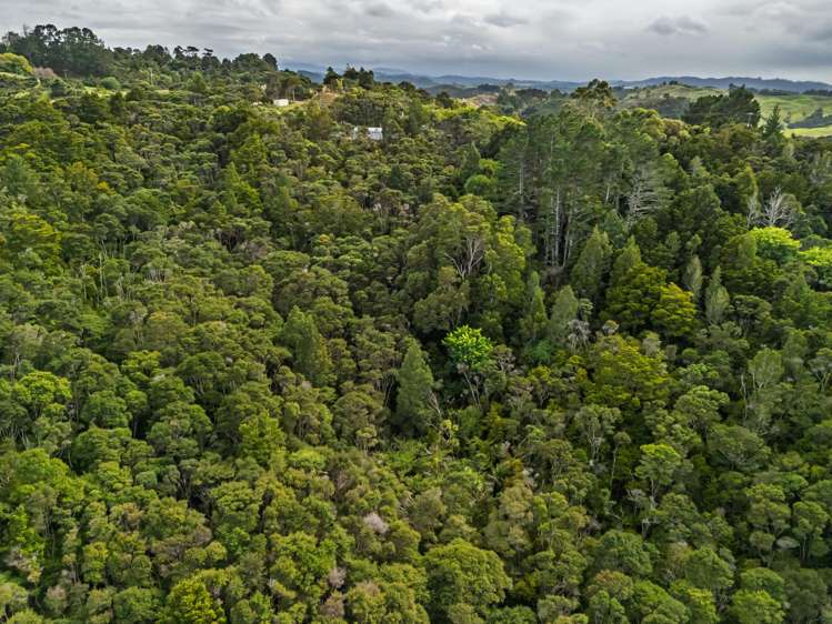 191 Opara Road Oue_33