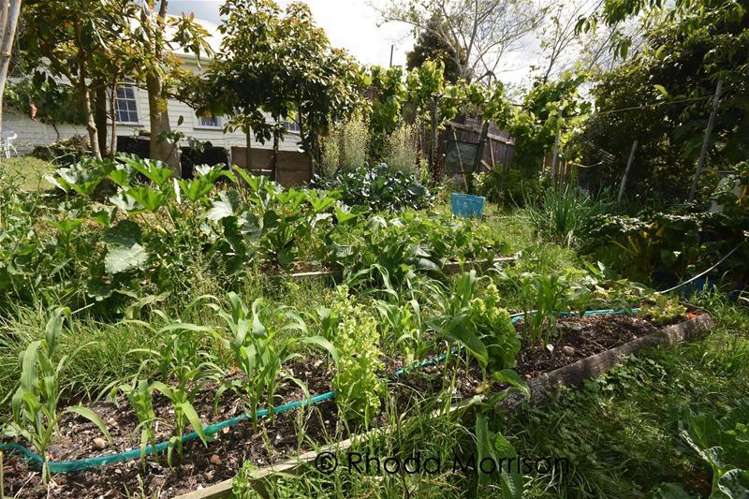 40 Oxford Street Whakapirau_33