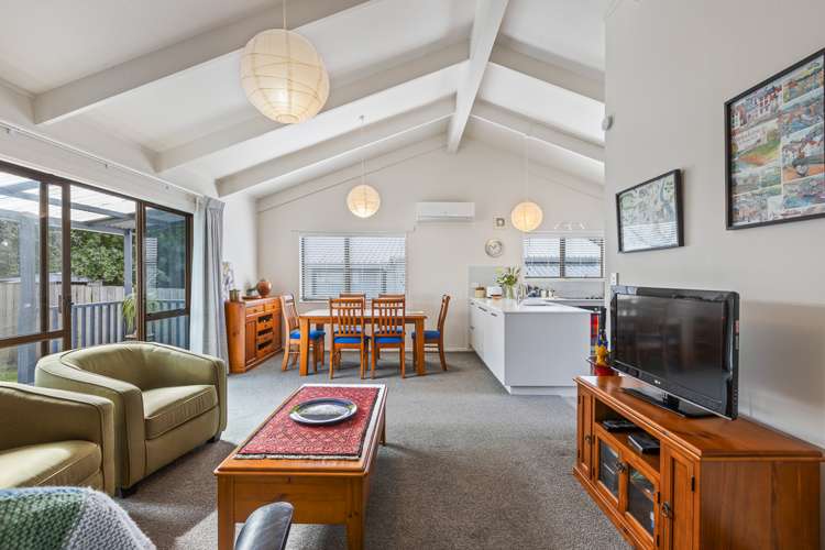 1/3 Campbell Drive Warkworth_6