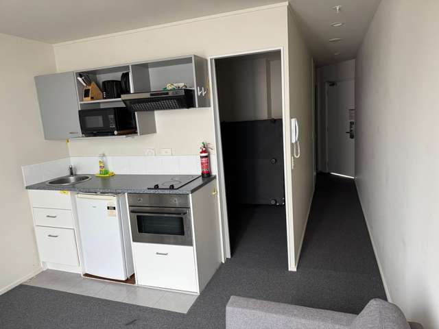 Cozy furnished refurbished apartment