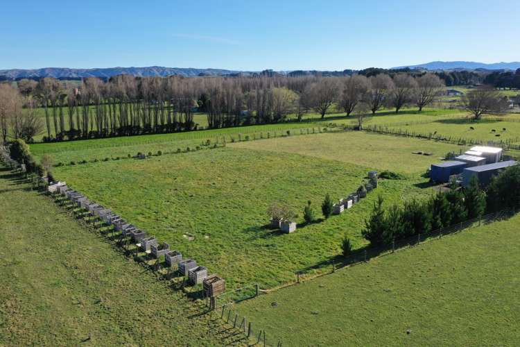 81974 State Highway 2 Pahiatua_12