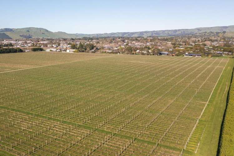 68 Weld Street Hokitika_10