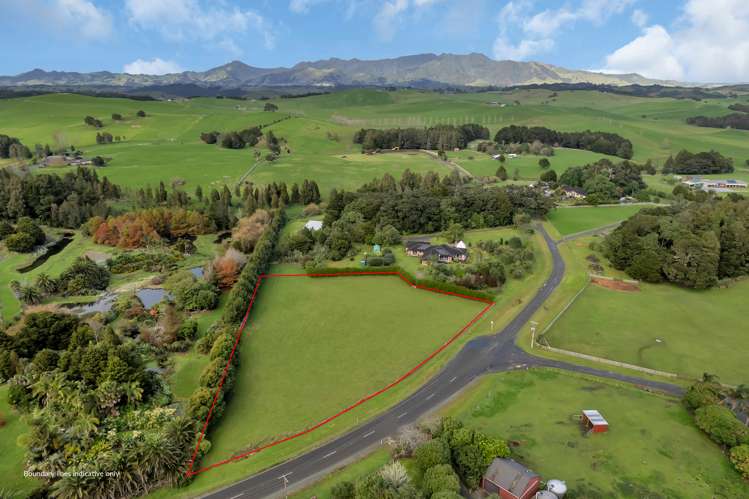 Springs Road Poroti_5