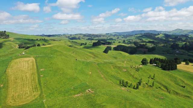 Superbly located dairy grazing or finishing block