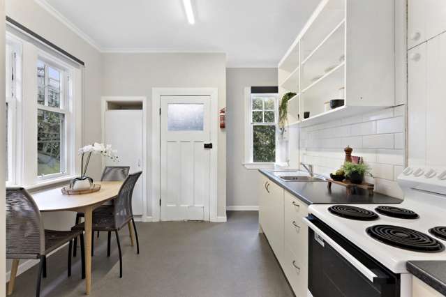 17 Rakau Road Hataitai_3