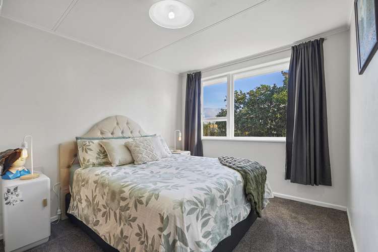 25 Mcintosh Street Chartwell_8