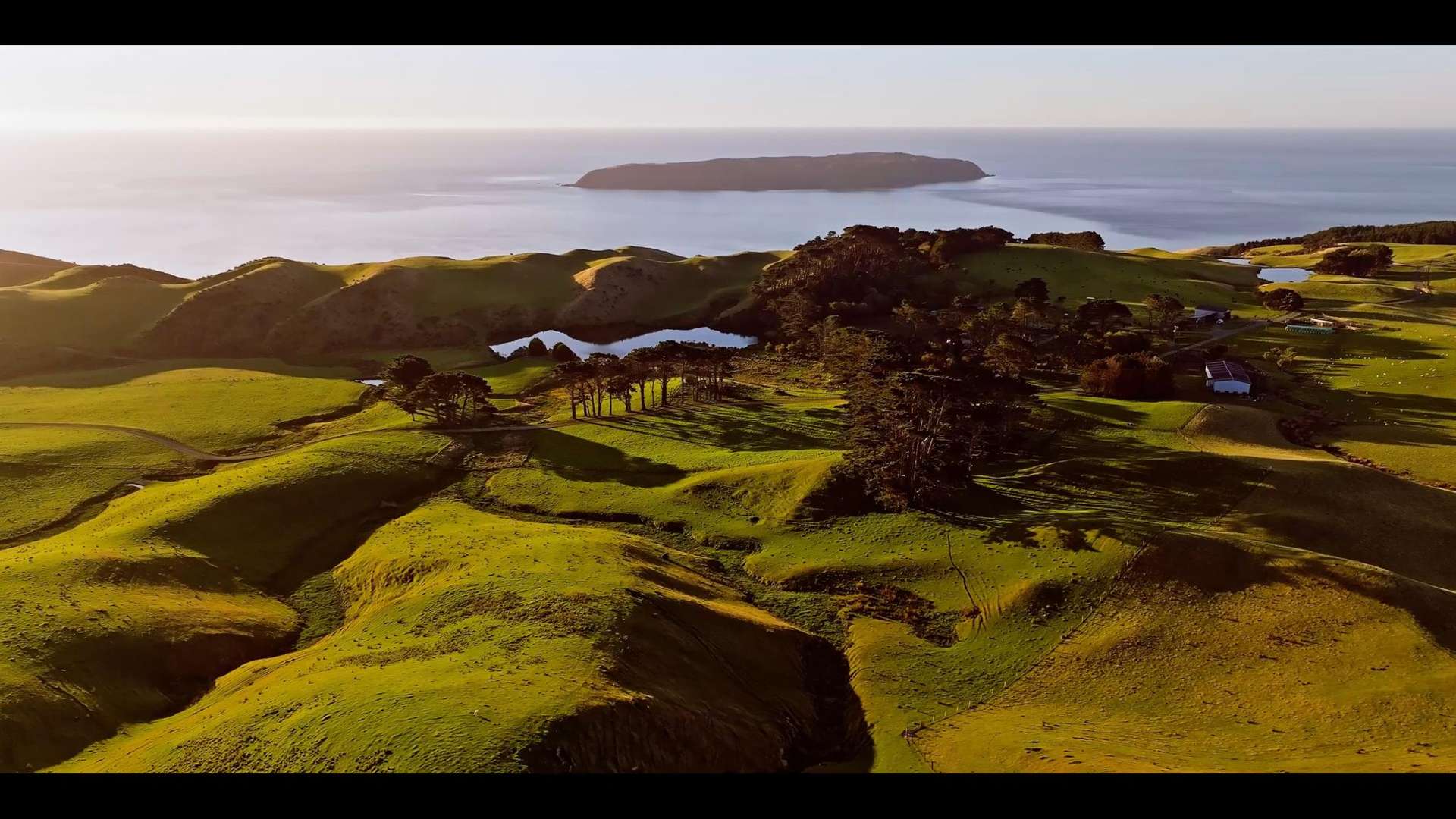 Pikarere Farm Porirua_0