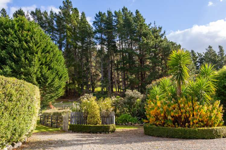 91 Falloon Settlement Road Kaituna_19