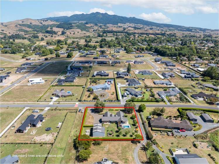 355 Inglefield Street Pirongia_29