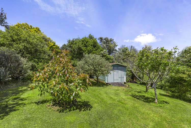 112A Newton Road Raglan_11