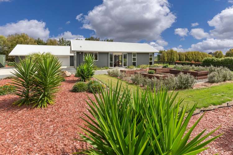 223a Waerenga Road Te Kauwhata_13