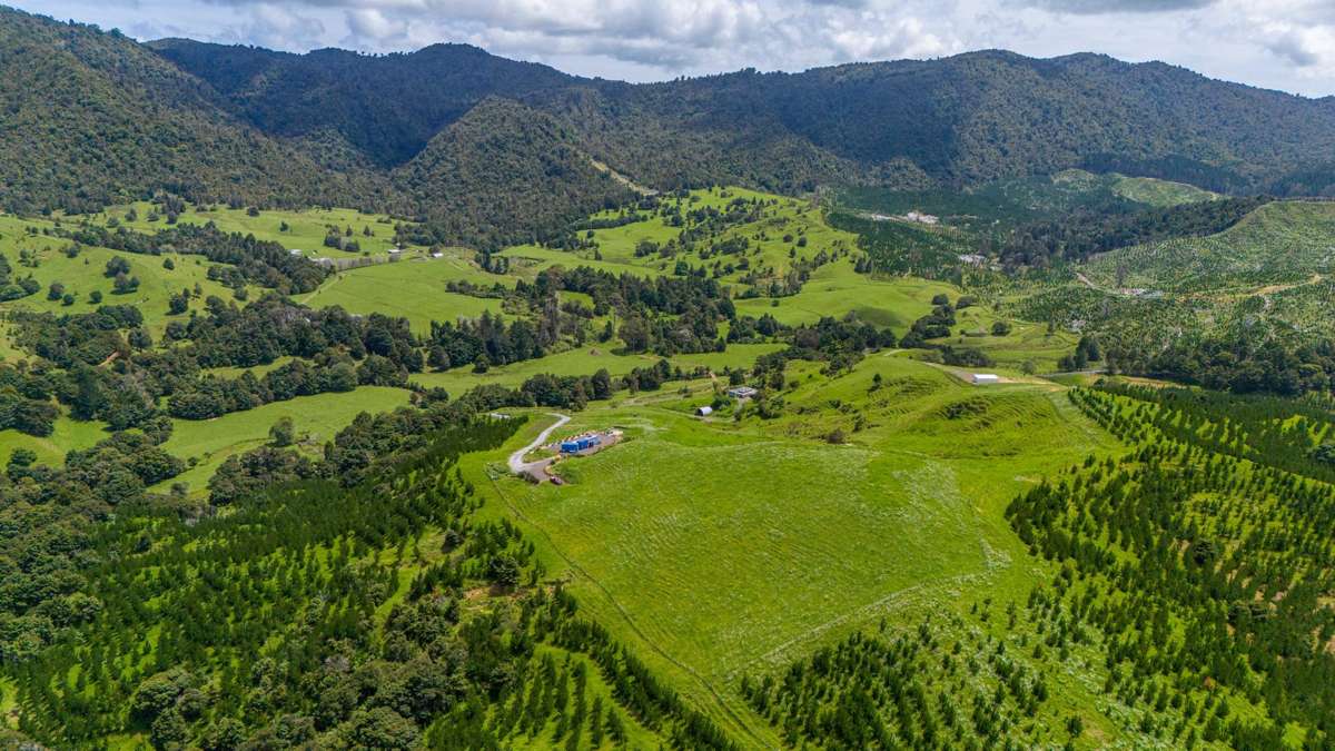 560 Diggers Valley Road_5