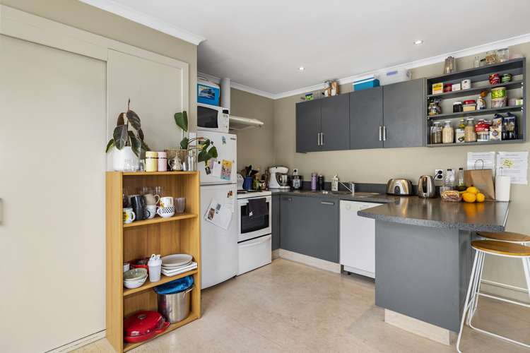 123 Harbour Terrace North Dunedin_5