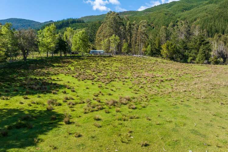 1025 Wakamarina Road Havelock_15