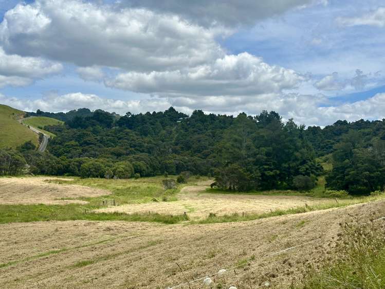 Lot 3 Waiotoi Road Ngunguru_7