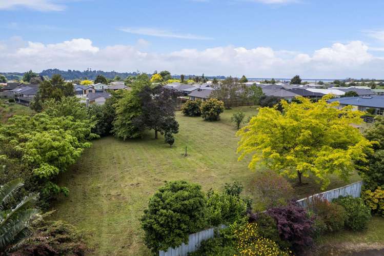 19 Binnie Road Katikati_20