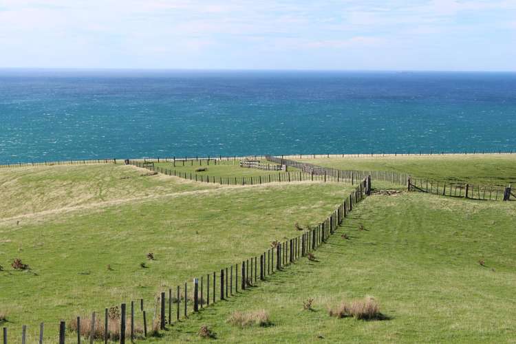 750 Otahome Road Otahome_6