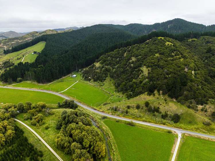 1247 Wharekopae Road Ngatapa_11