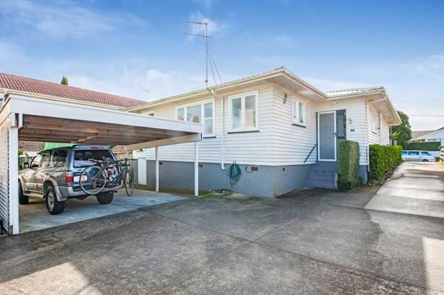 369 Richardson Road Mount Roskill_2