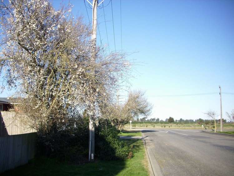 147 Rolleston Street Rakaia_10