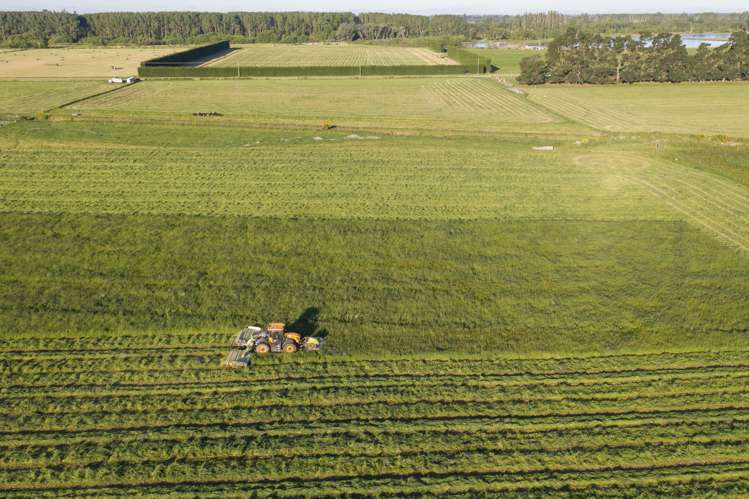 Wilkins Road Tinwald_10