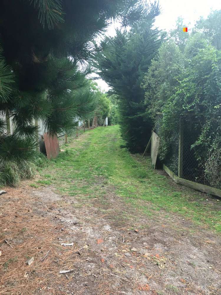 316 Harington Point Road Lower Portobello_4