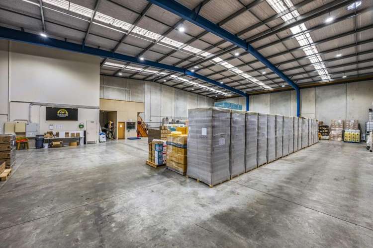 523 Rosebank Road Avondale_7