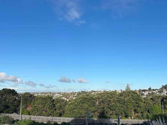 4/9 Cowie Street Parnell_1