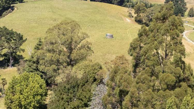 233 South Road Mauriceville_14