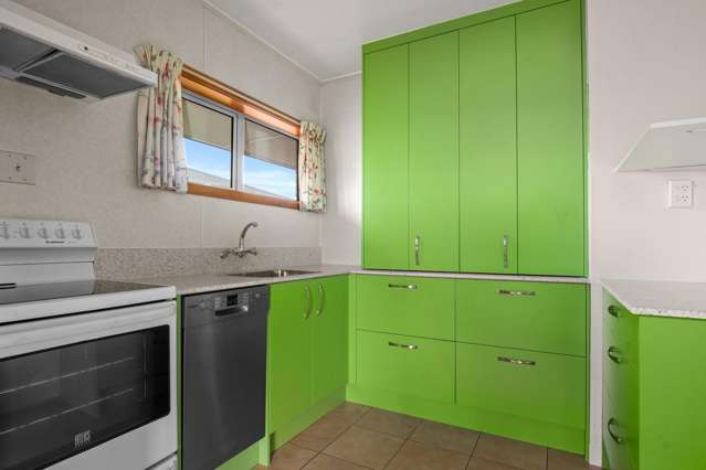 28a Killarney Street Alexandra_1