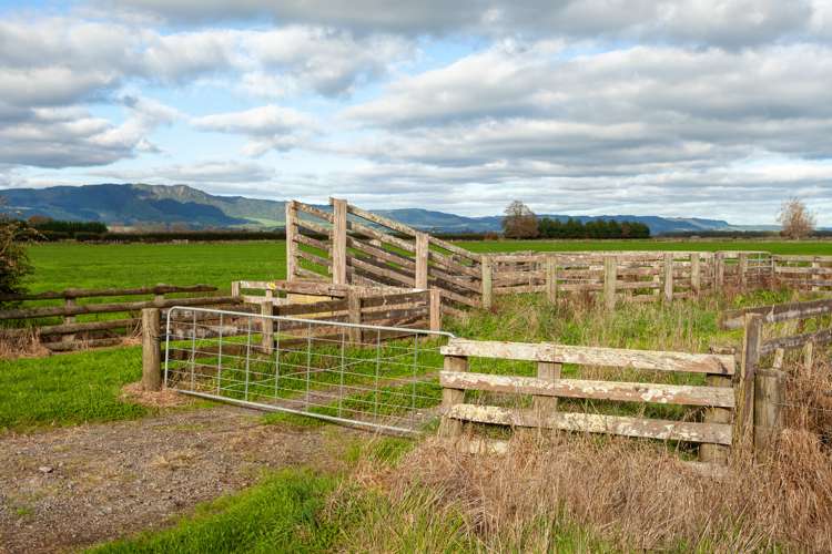 60 Pohlen Road Matamata_10