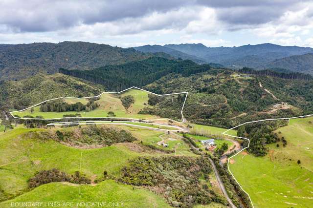 220 Kaimarama Road Whitianga_4