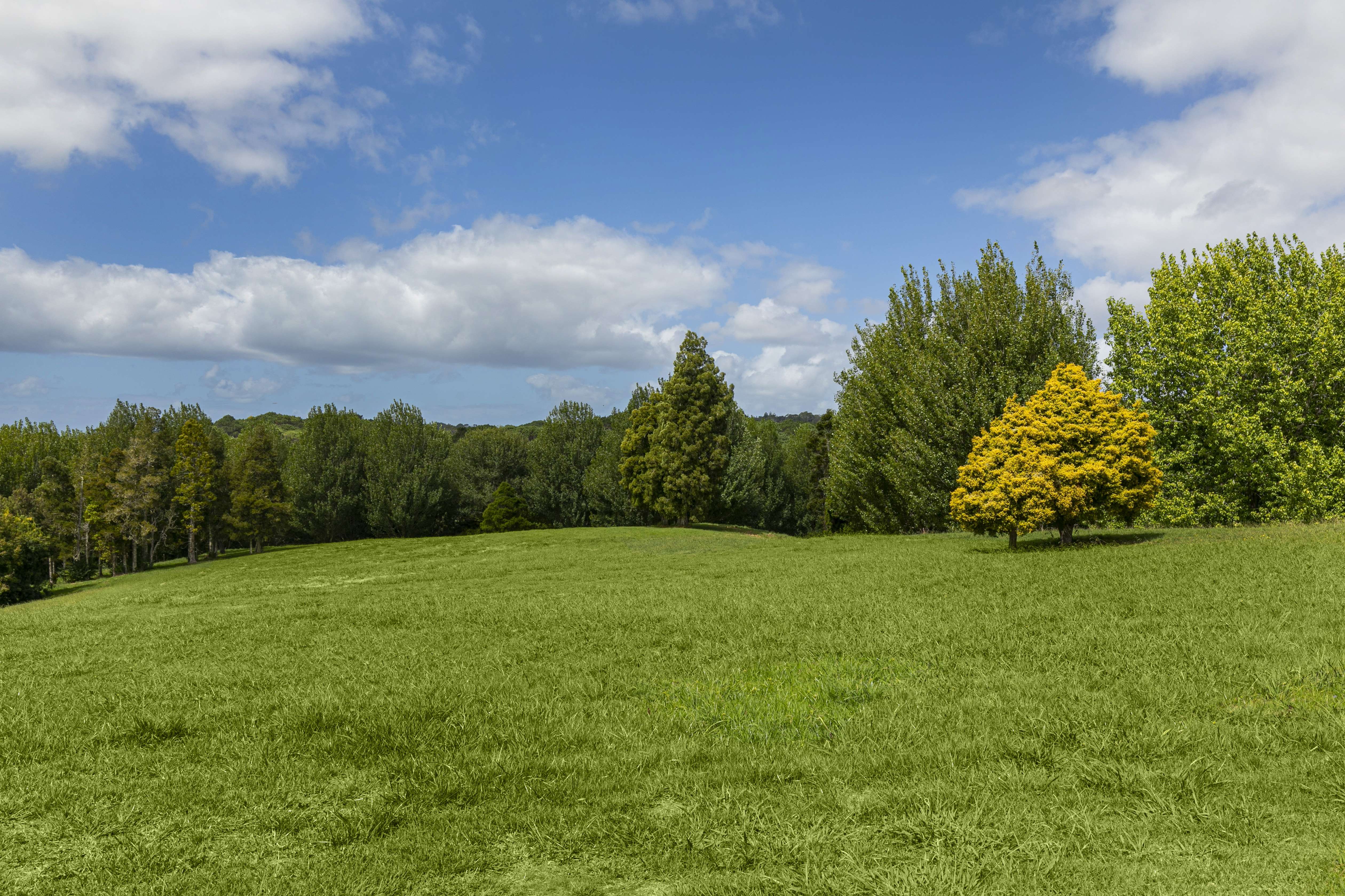 109 Blackbridge Road Dairy Flat Rodney Rural Property For Sale