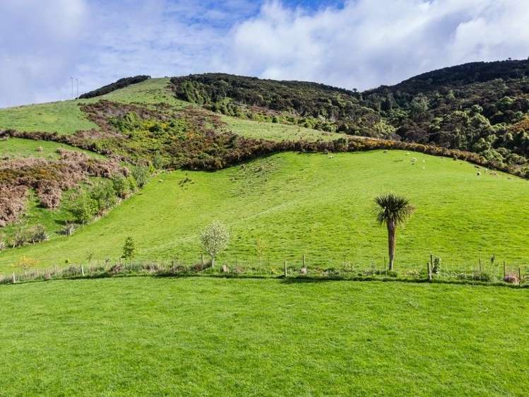 452 Outram-Mosgiel Road Mosgiel_28